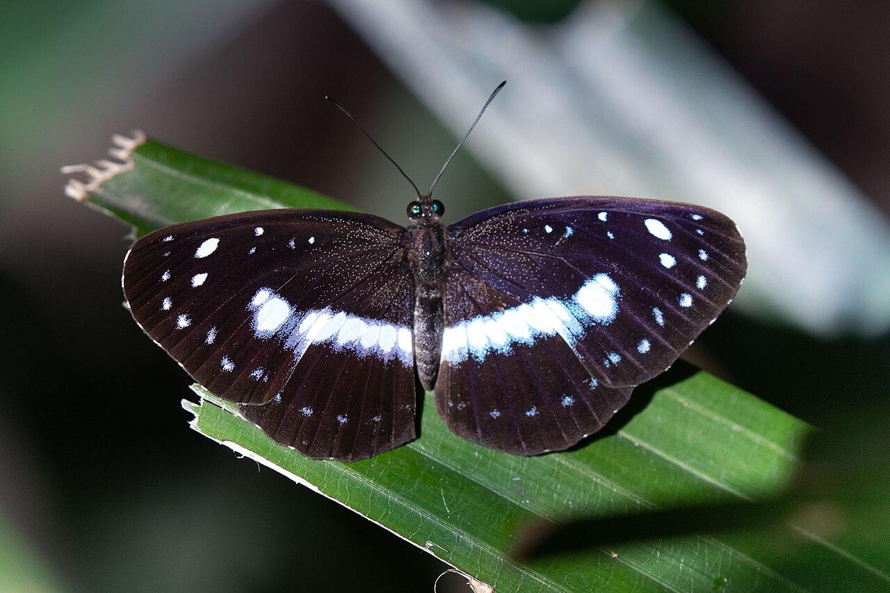 Port Moresby, Papua New Guinea